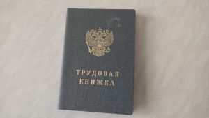 Овны в черном, Раки в красном: астролог рассказал, в чем идти на собеседование – каждому свой цвет