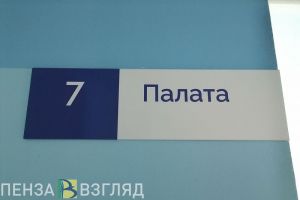 В Бессоновском районе девочка опрокинулась на электровелосипеде