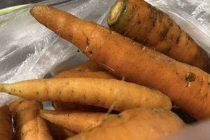 Не убираю морковь до снега – просто накрываю соломкой: выкапываю «подснежную» моркошку – слаще не пробовала