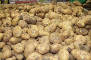 Подорожал на 40% - картофель не укупишь: россияне в шоке – цены на сезонные овощи бьют рекорды