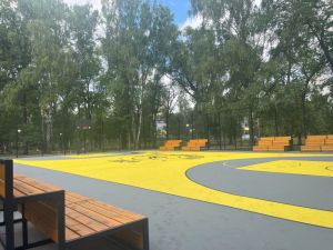В Пензе на открытие баскетбольной площадки ожидают приезд Андрея Кириленко