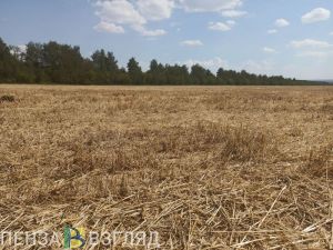 Аграрии Пензенской области подали свыше 1,1 тыс. заявок на получение субсидий
