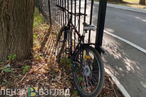 На трассе Тамбов – Пенза обнаружили 10-летнего мальчика
