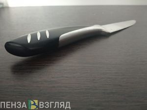 Житель Нижнеломовского района угрожал супруге ножом, заподозрив ее в неверности