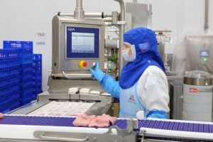 Пензенская область импортировала в Китай более 6,8 тысяч тонн мяса индейки