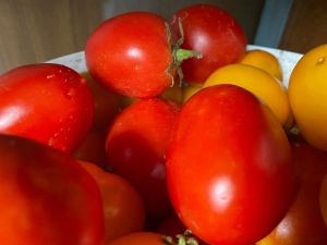 Никакой химии: урожай от опасного заболевания спасет популярный продукт - простое средство доступно всем