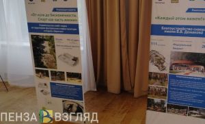Костин рассказал Скворцовой и Лихачеву о новых скейт-парке и стадионе в Заречном