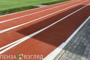 В 2023 году 640 тысяч жителей Пензы и области систематически занимались спортом