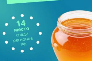 В Пензенской области за прошлый год собрали 1254 тонны меда