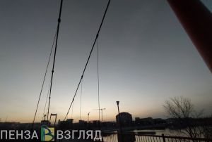 Соцсети: в Пензе парень пытался прыгнуть с моста Дружбы