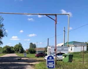 В Пензенской области выявлены очаги африканской чумы свиней