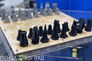 Пензенский осужденный получил комплект шахмат от Анатолия Карпова