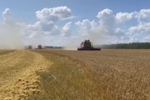 Пензенские аграрии собрали 2 миллиона тонн зерна