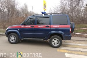 Следователи выясняют обстоятельства смерти жительницы Тамалинского района