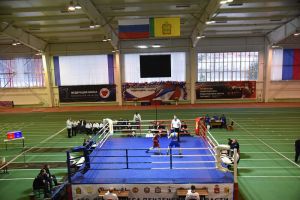 В Пензенской области боксом занимаются 2 443 человека