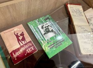 В Пензе презентовали книгу о Владимире Застрожном (12+)
