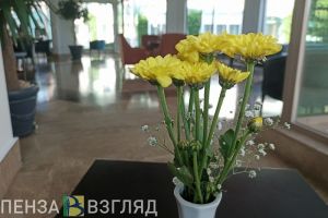Пензенцам перечислили популярные маршруты путешествий по стране