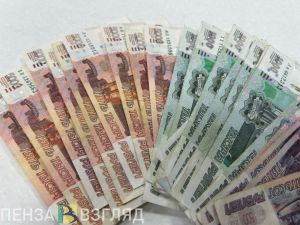 Иностранный студент ПГУ похитил у зареченских пенсионерок более 1 млн рублей