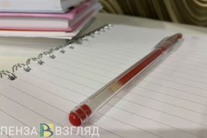 Названы самые востребованные специальности среднего образования у пензенцев