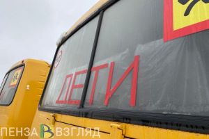 В Шемышейке объяснили, как будут возить детей на уроки с левобережья