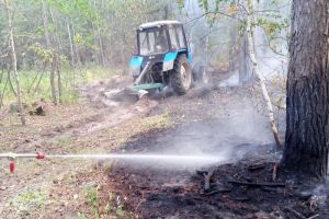 В Городищенском районе произошел лесной пожар