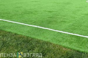 Жителей Пензенской области научат судить бесплатно