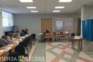 За ходом выборов в Думу в Пензе следят общественные наблюдатели