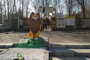 В Пензенском зоопарке завершился ремонт в вольере белого медведя
