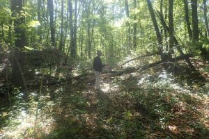 В Городищенском районе Пензенской области археологи обнаружили артефакты