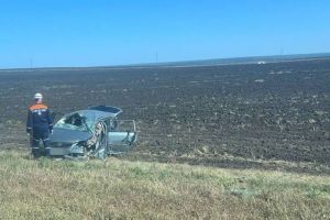 Жесткое ДТП у Грабово, арт-объект для набережной, бешенство в селах — главные новости Пензенской области за 15 сентября