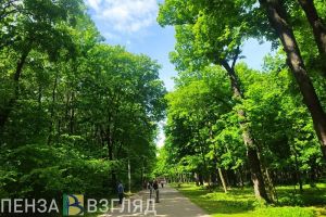 В Пензе пройдет Осенний легкоатлетический кросс