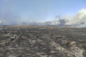 Большой пожар, заморозки до -4 градусов и открытие сквера в Кузнецке — новости Пензы и области за 22 сентября