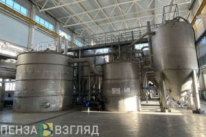 Пензенская область заняла 61-е место по доле высокопроизводительных рабочих мест