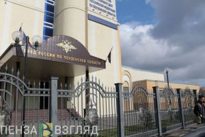 Полицейские устанавливают личность мужчины, напавшего на сердобскую пенсионерку