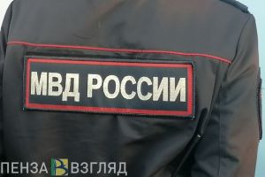 Полицейские подозревают жителя Бессоновки в незаконном сбыте оружия
