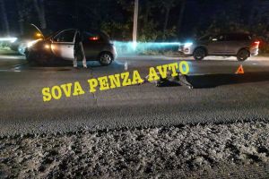 Водитель сбил кабана на дороге между Пензой и Заречным