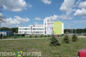 Пензенцы узнали мнение Пескова об идее сократить время обучения в школах