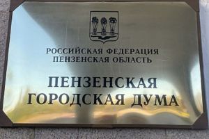Пензенским депутатам хотят запретить выбирать в помощники родственников