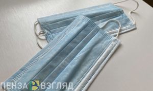 Карантин в 15 классах, выпавший из окна мужчина, поездка Мельниченко в Заречный – новости Пензы и области за 27 сентября