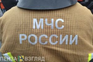 В результате ночного пожара в Каменском районе погиб мужчина
