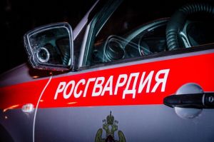 Пьяный пензенец разбил витрину с игрушками в ресторане