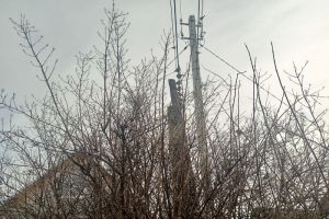 Дачникам рассказали, что нужно обязательно сделать до зимы