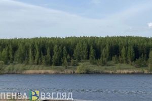 За 5 лет на водоемах Пензенской области погиб 101 человек