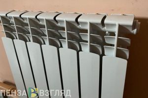 Отопление дали всем, ушастая сова, смертельная авария — новости Пензы и области за 19 октября