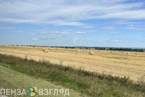 В Пензенской области намолотили более 2,5 миллионов тонн зерна