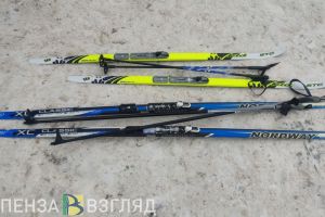 Уроки физкультуры у пензенских школьников могут стать последними