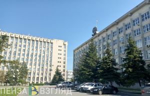 И.о. начальника пензенского УМИ стала Елена Веселова