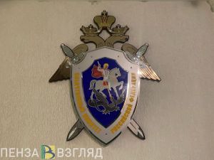 Пензенцы пожаловались Бастрыкину на семью мигрантов-бизнесменов