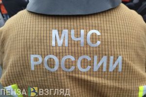 За прошедшие сутки в Пензенской области пожарные потушили 6 возгораний