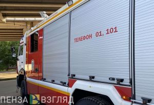 В Пензенской области пожарные облили из шланга мужчину, мешавшего тушить его дом